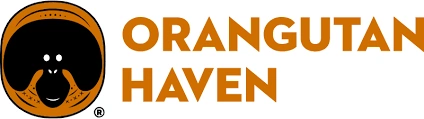 Orangutan Haven
